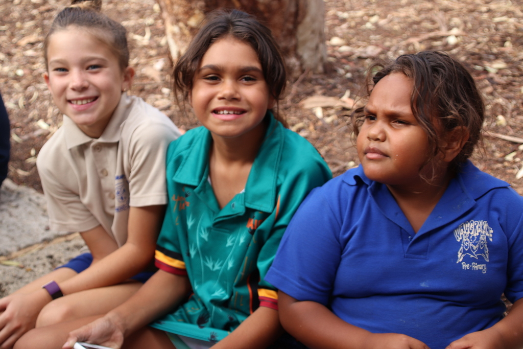 Aboriginal Education 4