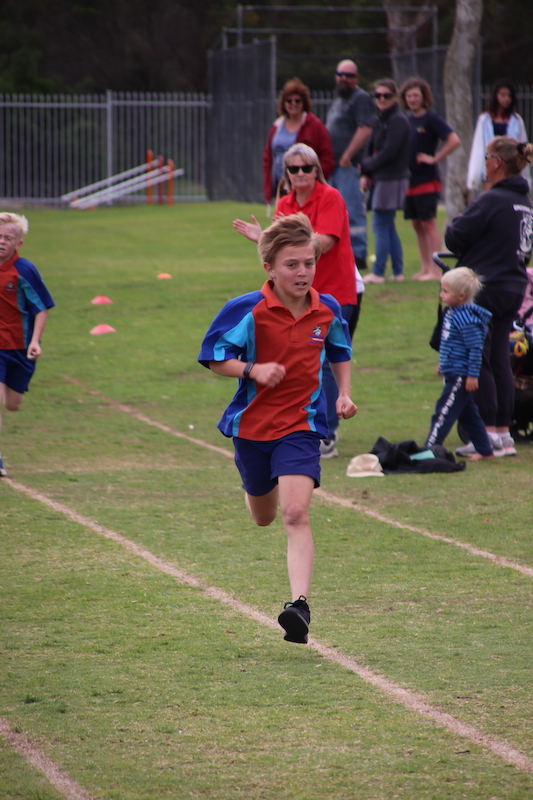 Year 5&6 Cross Country Boys - Waggrakine Primary School