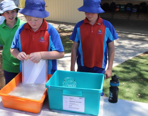 Year 6 Science Challenge 8