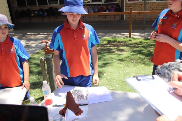 Year 6 Science Challenge 12