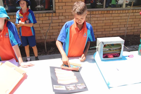 Year 6 Science Challenge 2